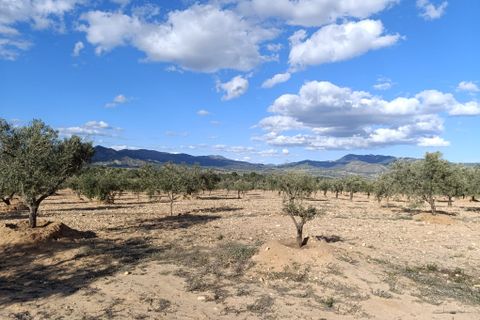 Masia a Sax, Alicante, Sax - € 63.000 | Ref: Panadero - foto 13